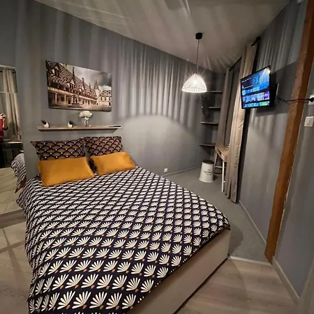 Studio Cosy, Cite Gastronomique Dijon Buitenkant foto